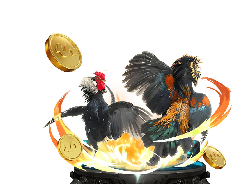 Đa dạng trận đấu gà chọi tại g28